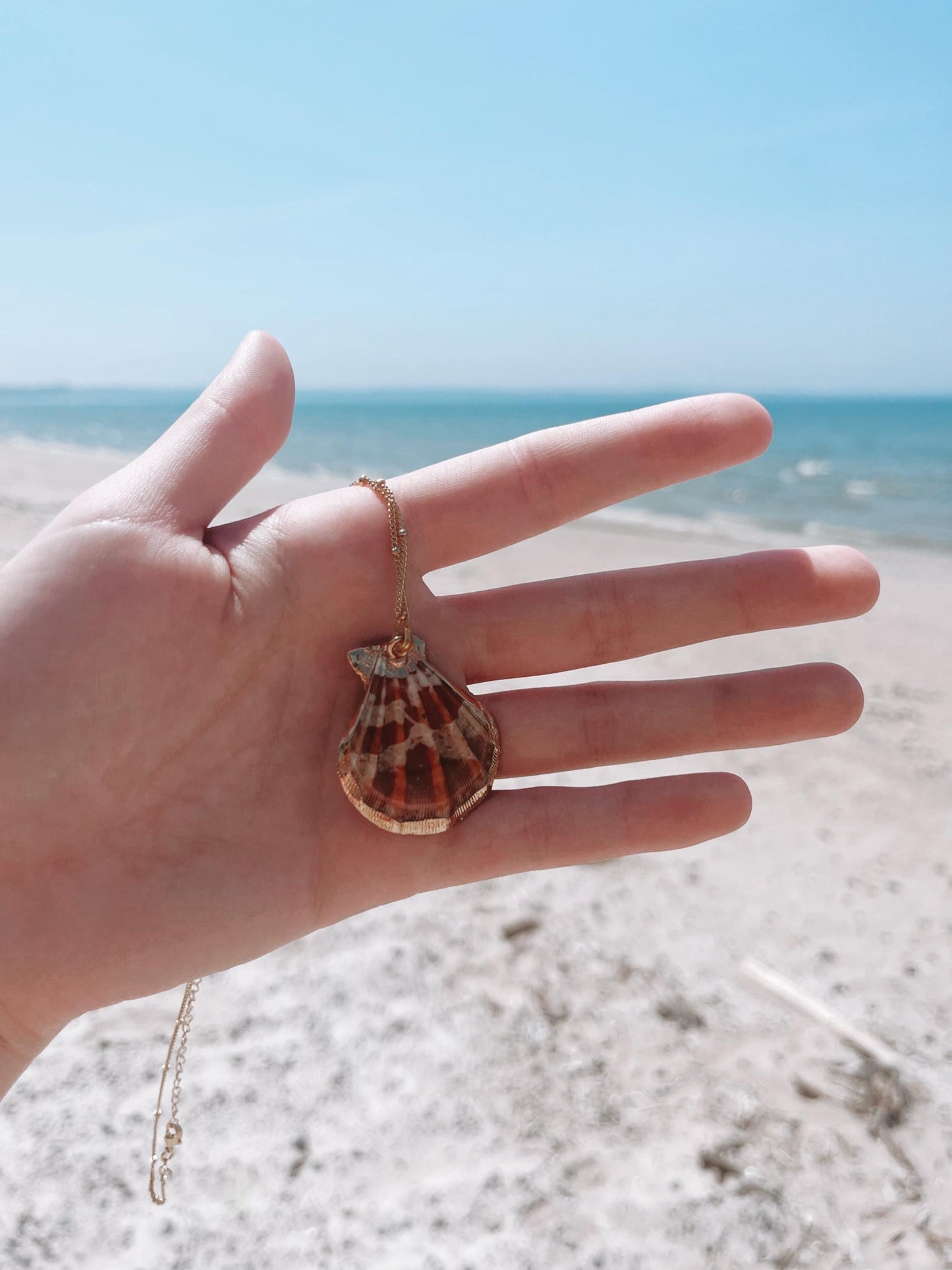 Gold Seashell Necklace | Beach Seagirl Shell Necklace | Jewelry For summer 2025 | Outerbanks Pouge Jewlery My Store