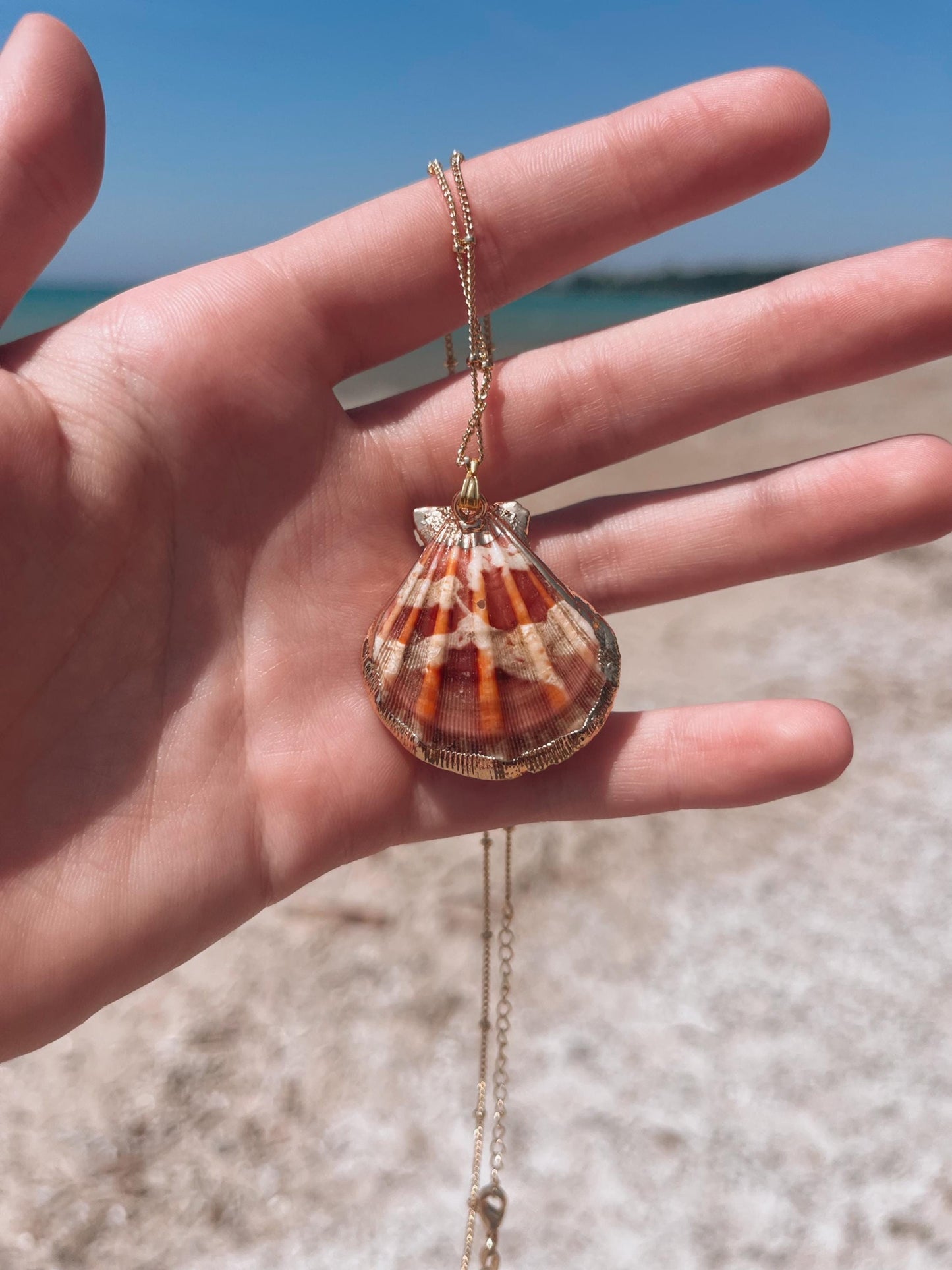 Gold Seashell Necklace | Beach Seagirl Shell Necklace | Jewelry For summer 2025 | Outerbanks Pouge Jewlery My Store